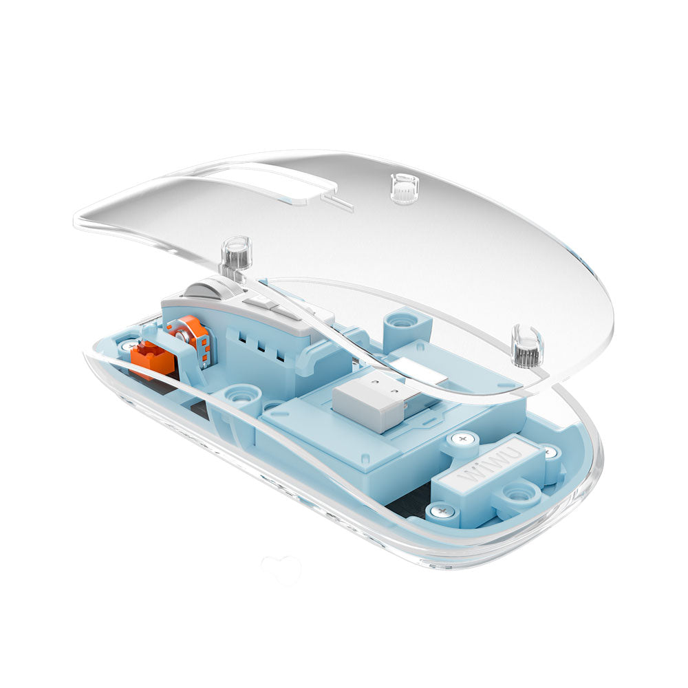 WM105 RGB Işıklı Şeffaf Tasarım Mouse